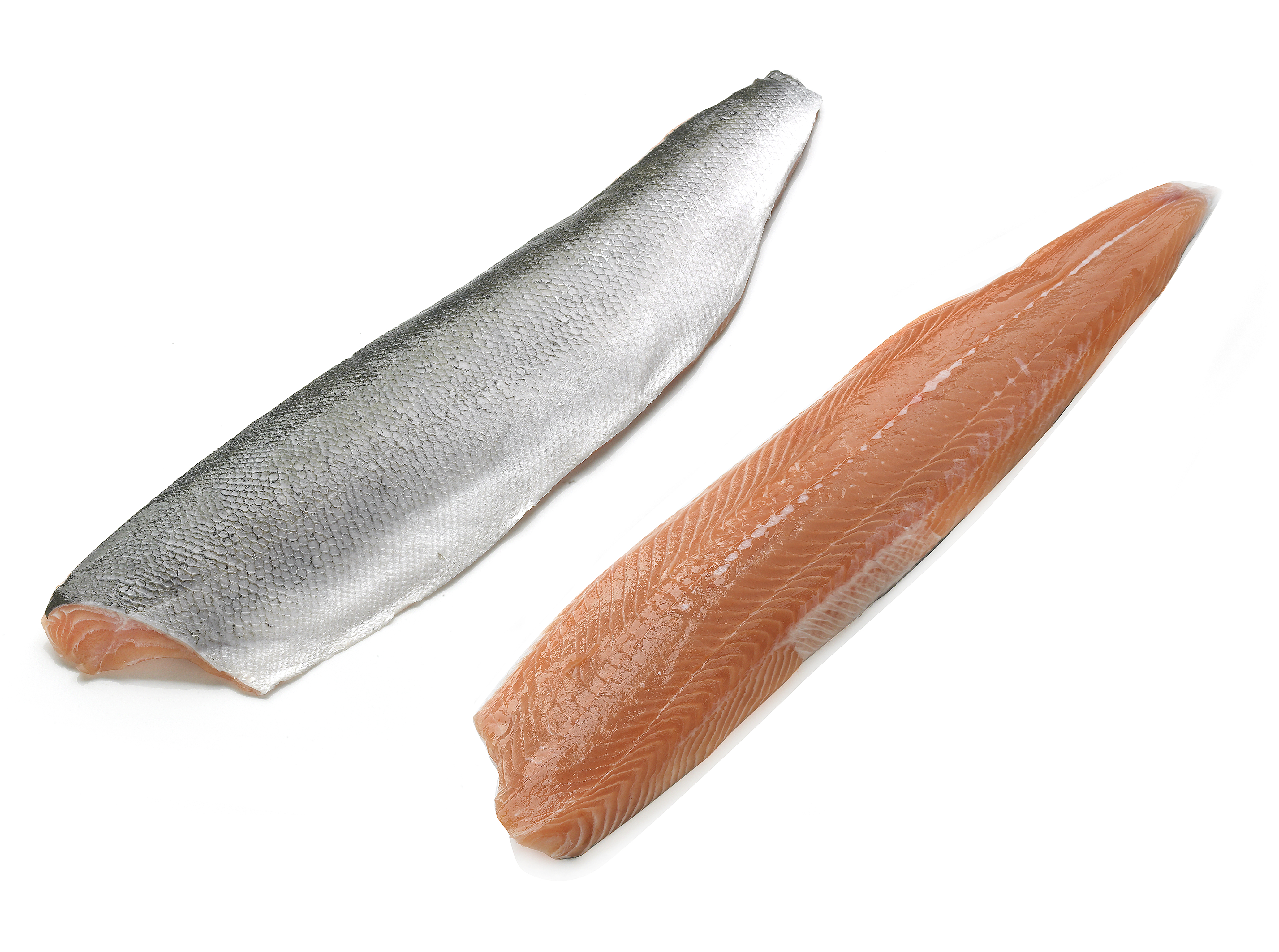 48728 Zalm organisch - filet met vel geportioneerd